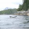 The fishing grounds